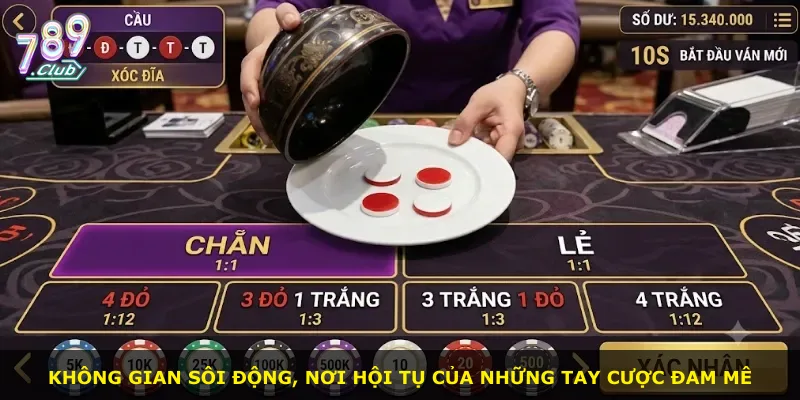Không gian sôi động, nơi hội tụ của những tay cược đam mê